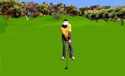 Golf Swing